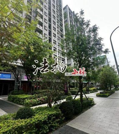 太平法拍大樓-1