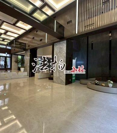 太平法拍大樓-2